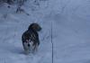DSC01771.JPG