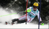 Hirscher_angles.png