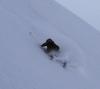 DSC01191.JPG