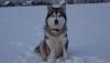 DSC03584.JPG