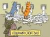кошачий фитнесс.jpg