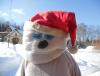 DSCN76621.jpg