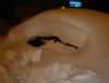 DSC02916.JPG