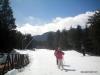100_0221.JPG
