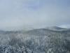DSC01877.JPG