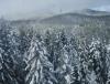 DSC01878.JPG