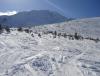 DSC01890.JPG