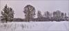 IMG_4898_stitch.jpg