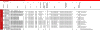 blz_fis-race-collection-13-14.gif