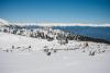 DSC_0017.JPG