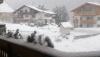 IMG_20160305_171903.jpg