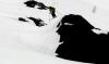 med_gallery_1247_2551_16409.jpg