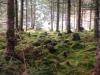 IMG-20170303-WA0023.jpg