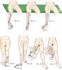 post-21062-0-77795500-1489226590_thumb.j