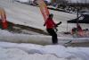 DSC02537.JPG