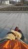 Skate17_March.jpg