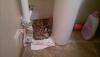 2011-11-25-031.jpg