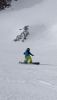 E821B931-B8C7-449B-9743-882E61A7472C.png