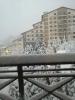 IMG_20220305_064619.jpg