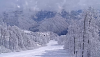 kp_30_03_2.png