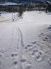 IMG-20240330-WA0004.jpeg