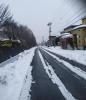 IMG_20240319_064119.jpg