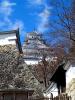 IMG_20240317_103057.jpg