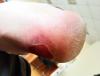 IMG_20240322_150311.jpg