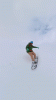 762898131101.gif