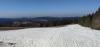 IMG_20250308_102418.jpg