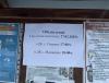 IMG_7031.jpeg