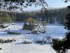 IMG_7128.jpeg