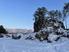 IMG_7153.jpeg