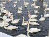 IMG_7112.jpeg