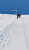 IMG-20250320-WA0019.jpg