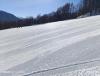 IMG_20250307_091930.jpg