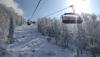 IMG_20250310_152717.jpg