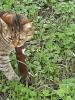 IMG-20240630-WA0001.jpg