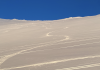 IMG_1206.png