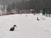 IMG_7017.jpeg