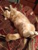 IMG-20260320-WA0000.jpg