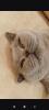 Screenshot_2026-02-20-22-15-33-645_ru.oneme.app.jpg