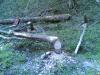 26042008_014_.jpg