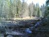 26042008_008_.jpg
