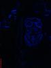 DSC02036.jpg