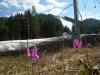 DSCN6271.JPG