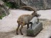 DSC01882.JPG