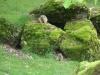 DSC01915.JPG