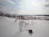 DSC01132.JPG