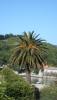 DSC02254.JPG